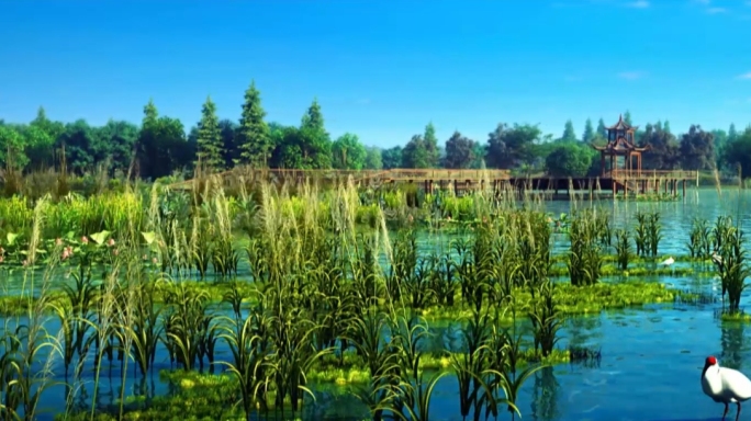 （宽屏完整版）三维湿地公园动画