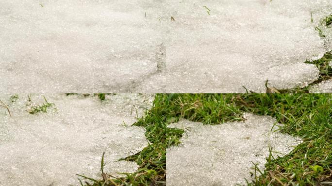 【4K】冰雪融化绿草生长冬天生机生态