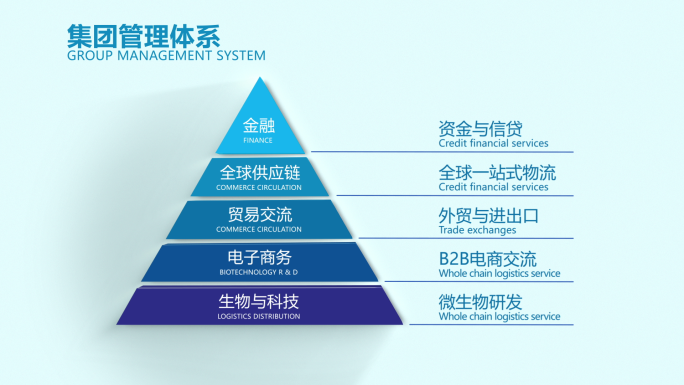 干净企业金字塔架构图