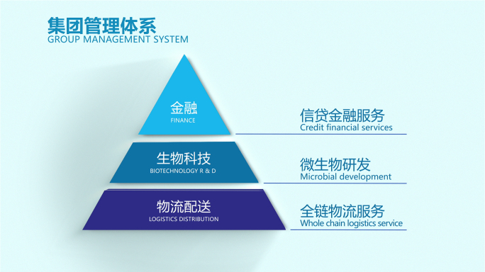 干净企业金字塔架构图