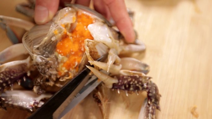 蟹螃蟹梭子蟹海蟹活蟹美食饮食