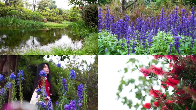 风景，花，水，公园