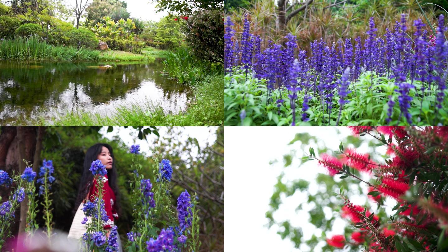 风景，花，水，公园