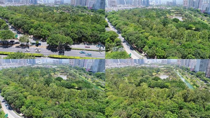 深圳城市绿地公园4K高清航拍