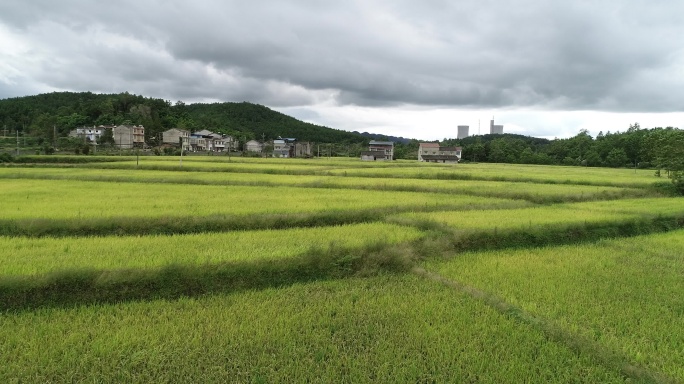 农村农田村落航拍高清4K