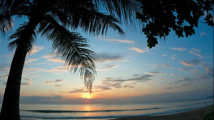 蓝天大海沙滩海边夕阳椰树剪影