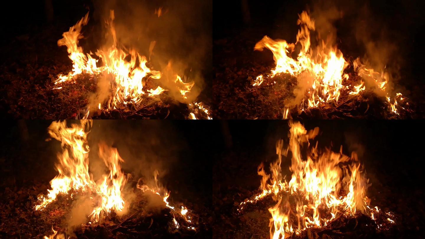 圆视艺术：火之舞-就是我点的火