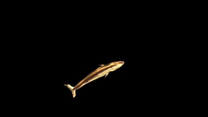 金色鲸鱼游泳14