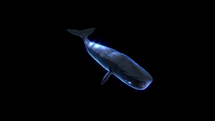 梦幻光感LED蓝鲸2