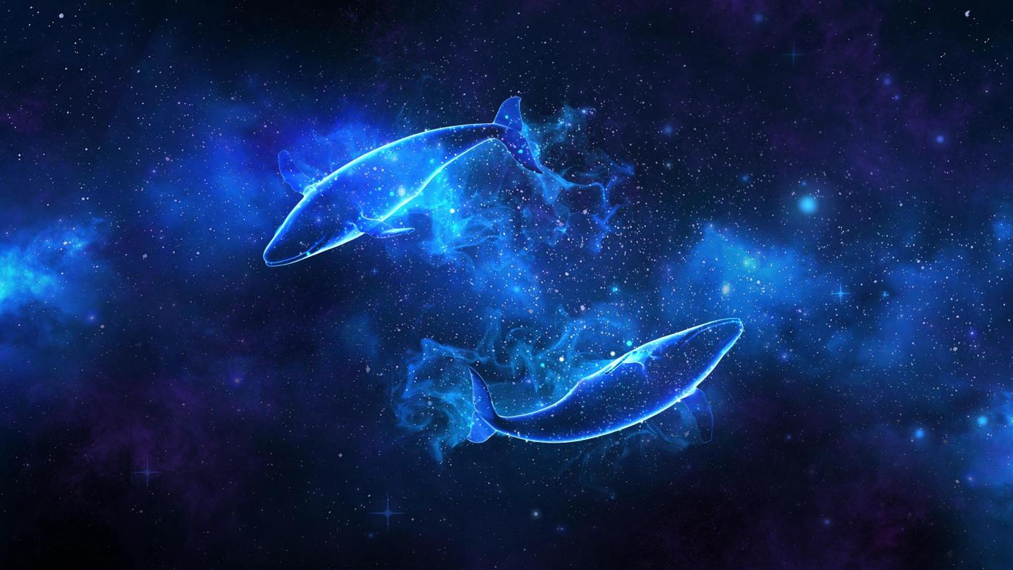 星空鲸鱼4k（01）-无缝循环