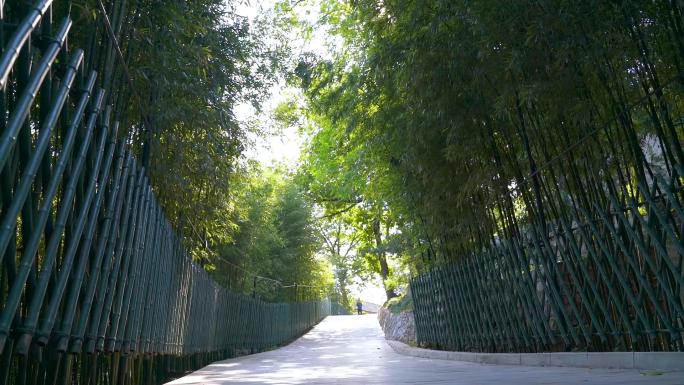 北京红螺寺御竹林许愿池银杏后山索道宣传片