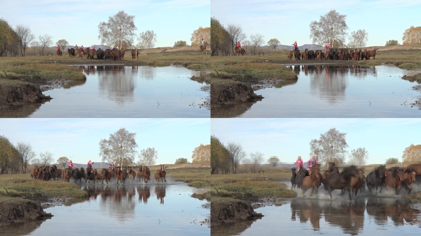 蒙古人盛装赶马群跑过河