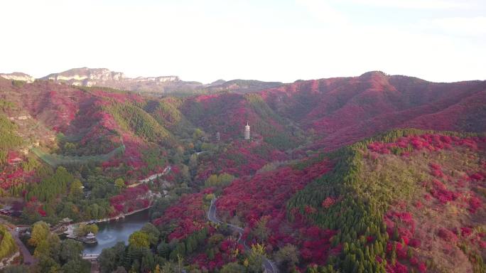 山东济南南部山区红叶谷秋天4K航拍