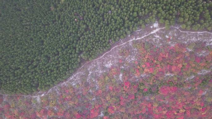 山东济南市中区蝎子山4K航拍