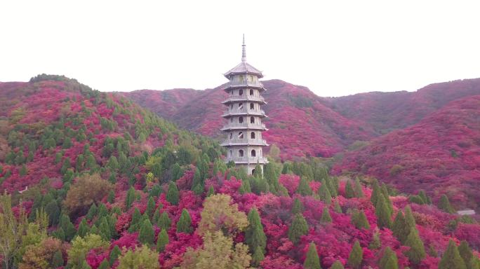 山东济南南部山区红叶谷秋天4K航拍