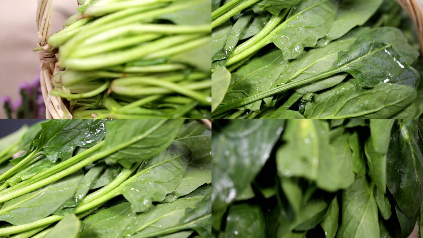 食品食材美食蔬菜菠菜补铁绿色