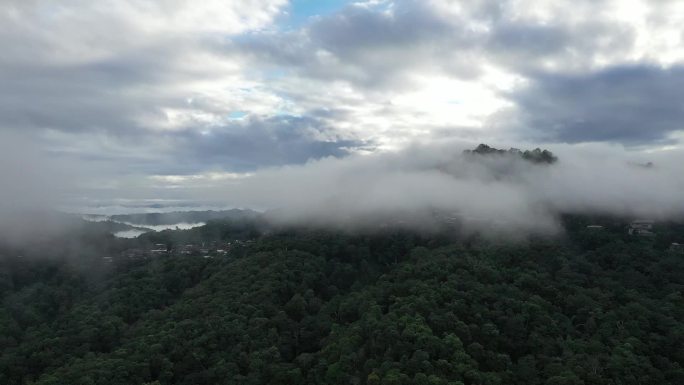 景迈山云海