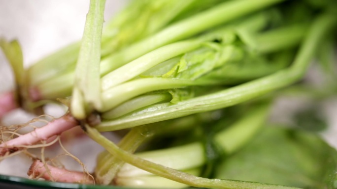 食品食材美食蔬菜菠菜补铁绿色