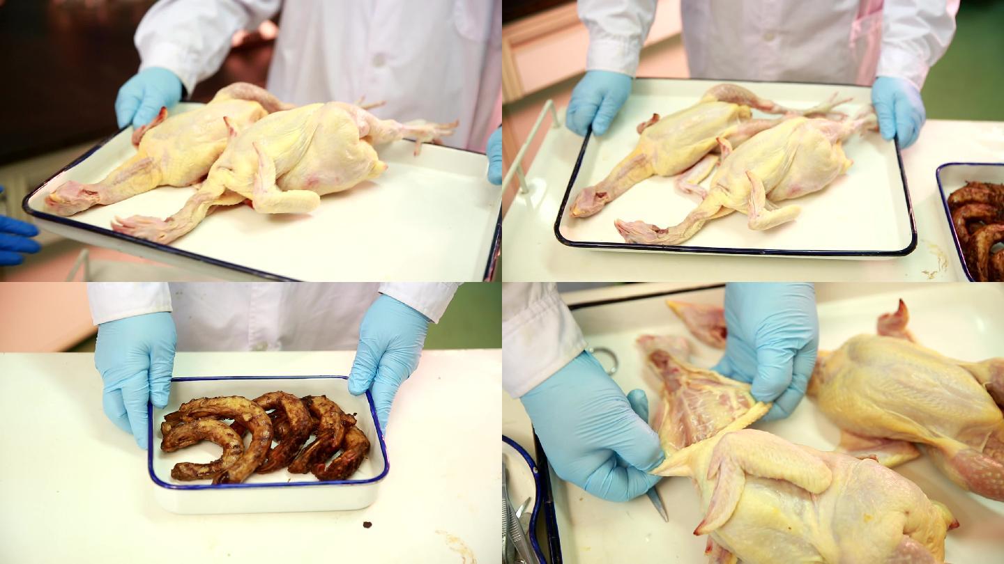鸡肉白条鸡免疫系统免疫器官脾脏