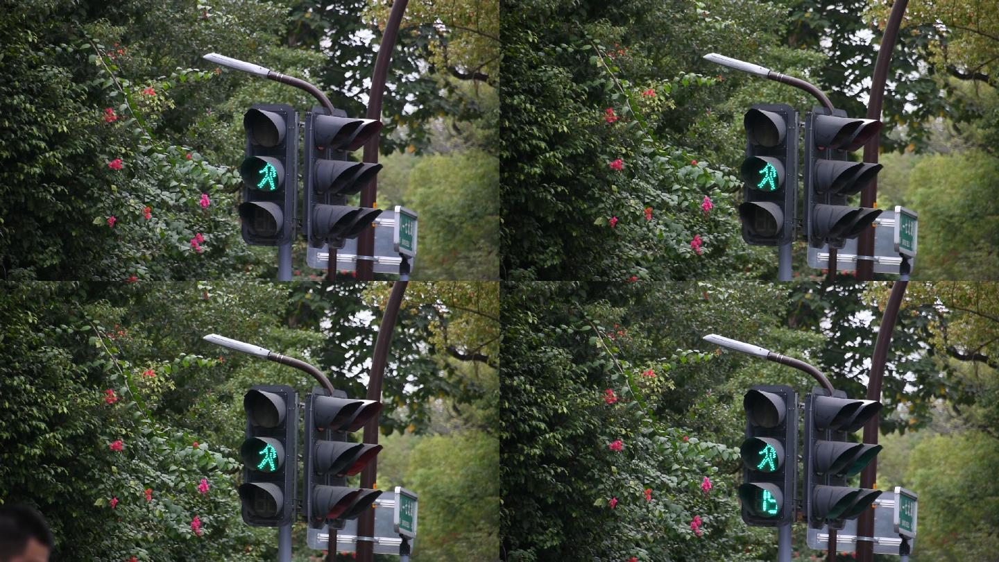 人行道红绿灯通行