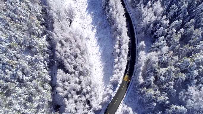 可商用 原创航拍4K初雪 初雪覆盖的森林