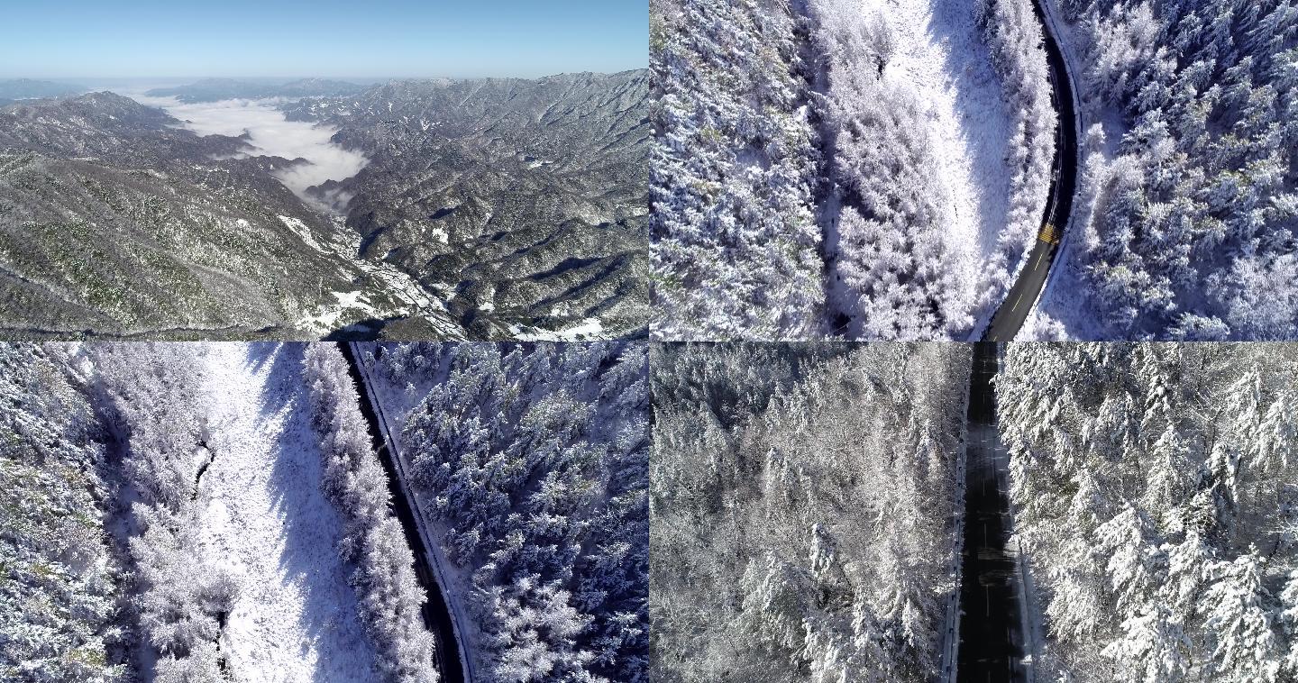 可商用 原创航拍4K初雪 初雪覆盖的森林