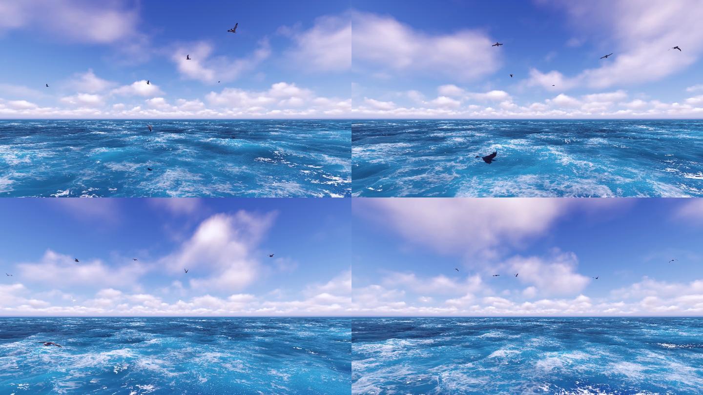 海鸥起舞蓝色海洋
