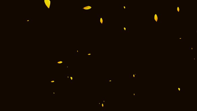金色向上飞起花瓣雨-无缝循环透明通道