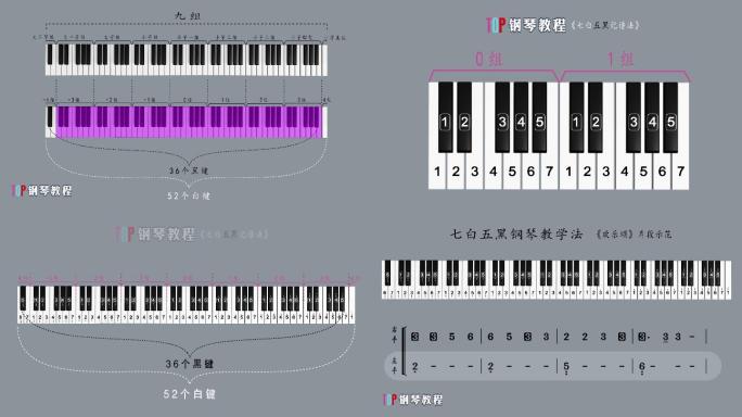 钢琴教学片MG动画制作AE