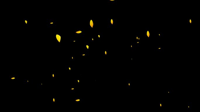 金色花瓣雨-无缝循环透明通道
