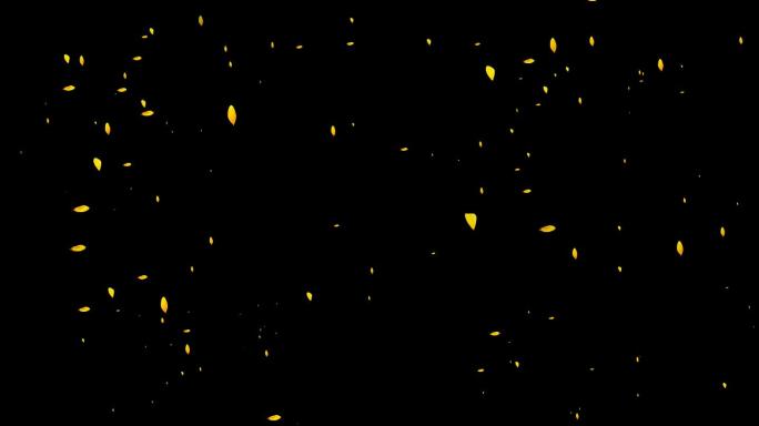 金色花瓣雨-无缝循环透明通道