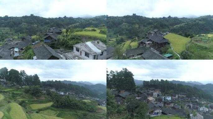 雷山猫猫河