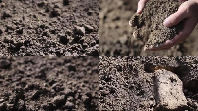 肥沃的土壤高清视频素材