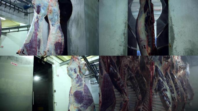 屠宰场牛肉排酸室