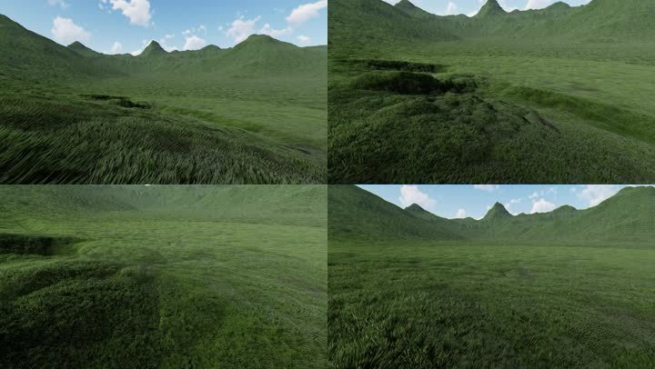 高山上的草原