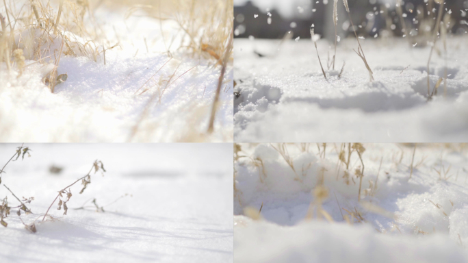 冬天的雪景和雪地空镜头视频素材