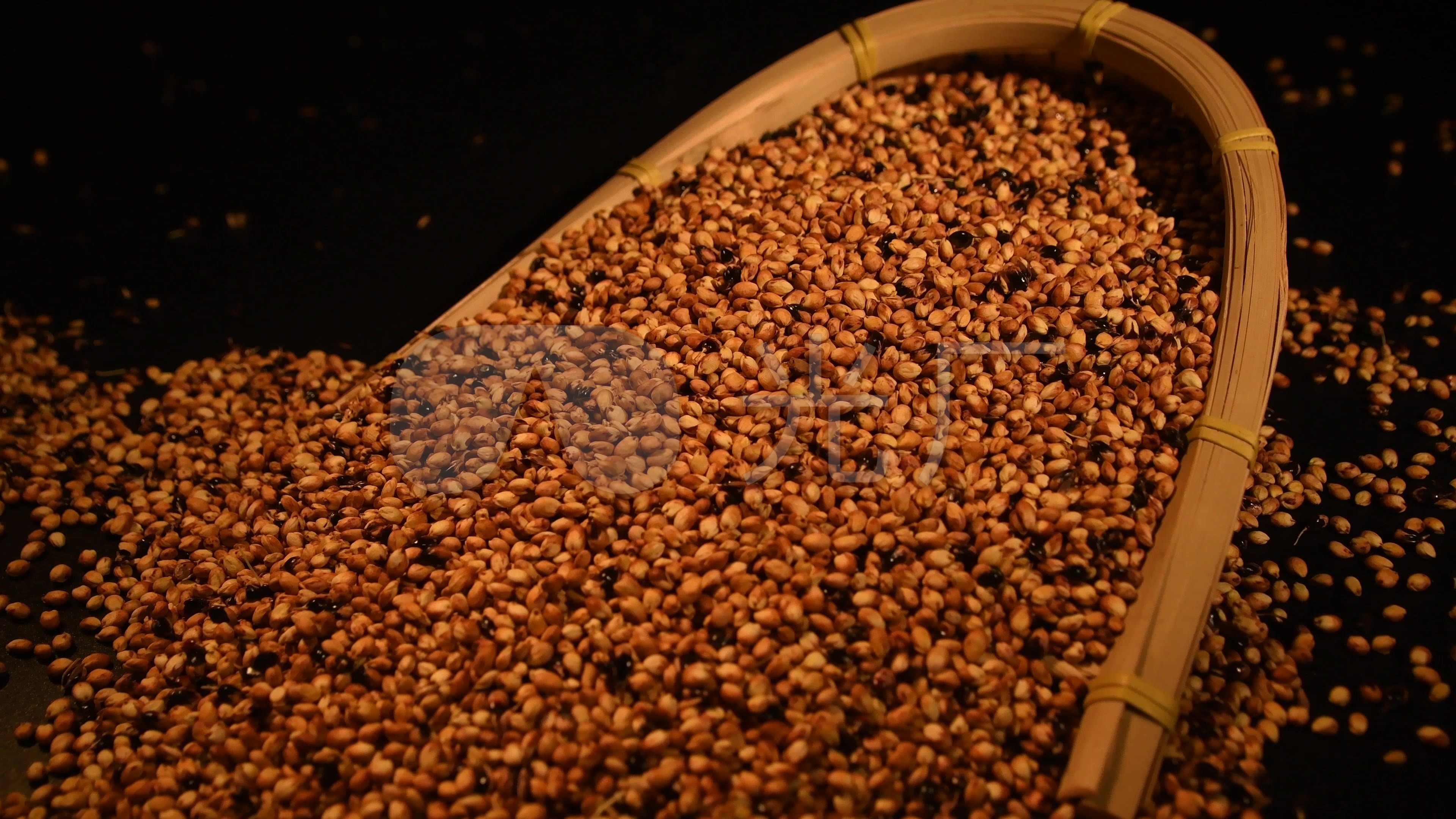 精选优质红米500g 纯天然红米还有农家自产小米黑豆黑米红豆_mengzhifei