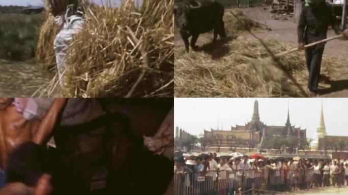 70年代泰国粮食匮乏