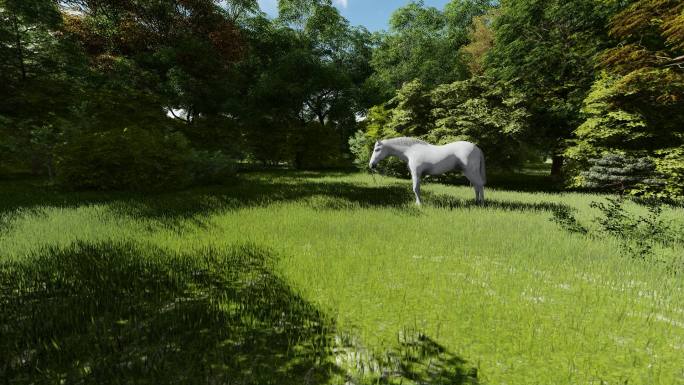 树林里吃草的白马