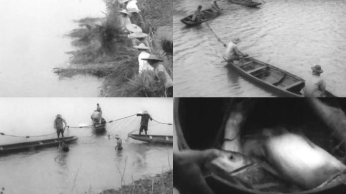 70年代广州公社鱼塘