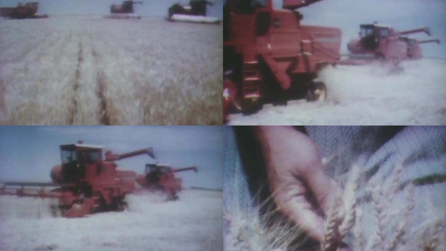 70年代美国农场