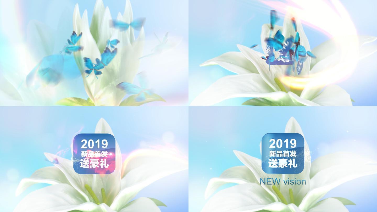 2019新品首发蝴蝶片头