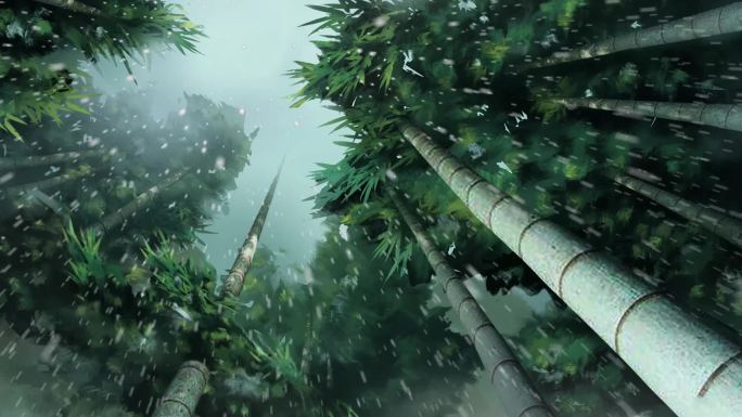 雨天竹林循环视频
