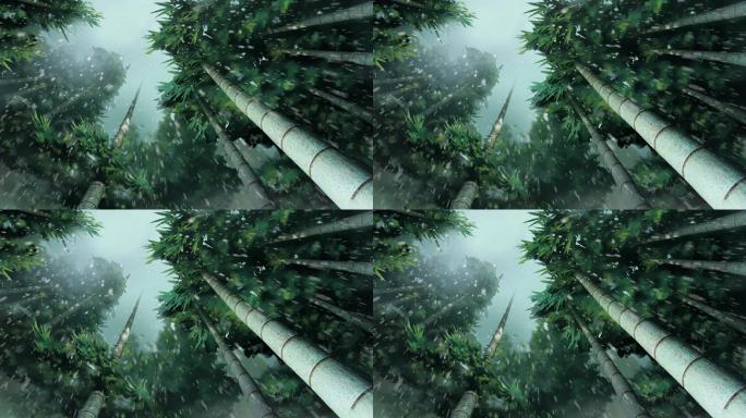 雨天竹林循环视频