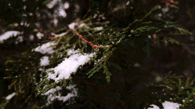 4K【原创】城市下雪太原二龙山下雪