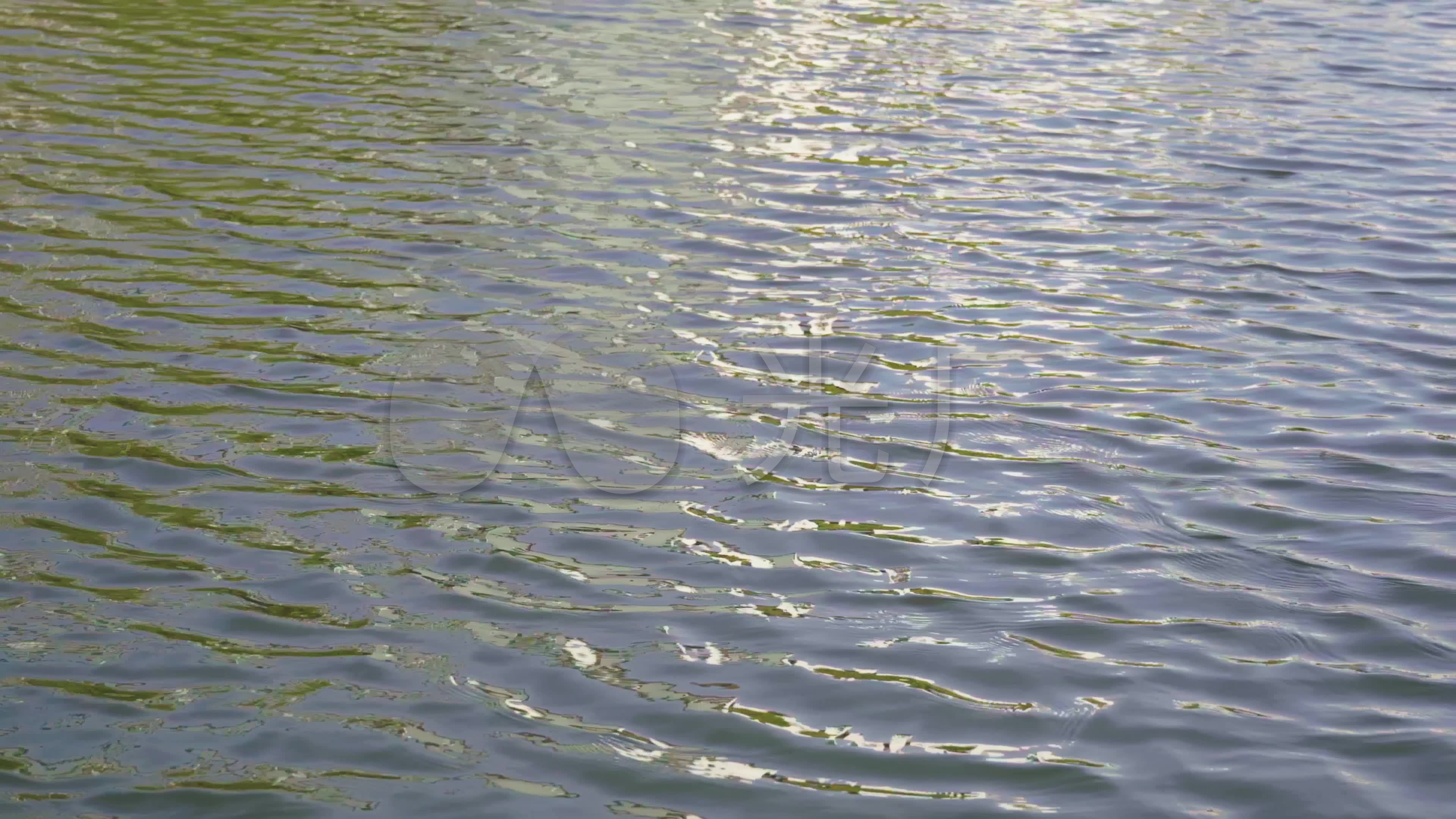 水面的落叶高清图片下载-正版图片500650521-摄图网
