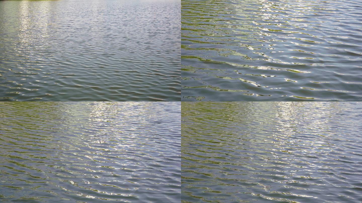 4K湖面水面视频素材