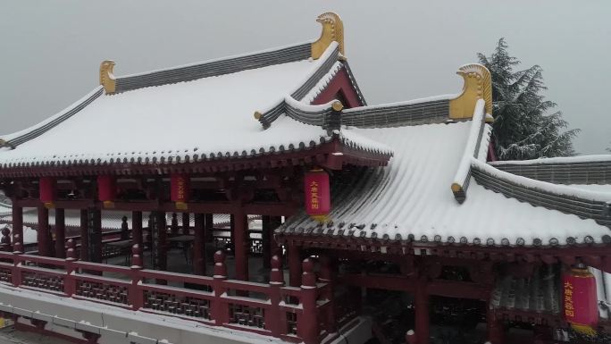 冬季雪天的大雁塔芙蓉园