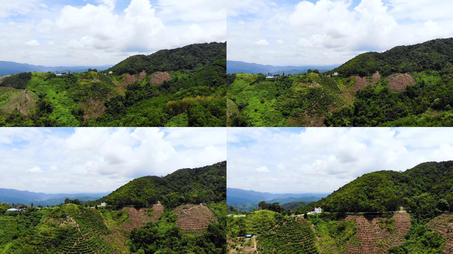 航拍高山森林高清