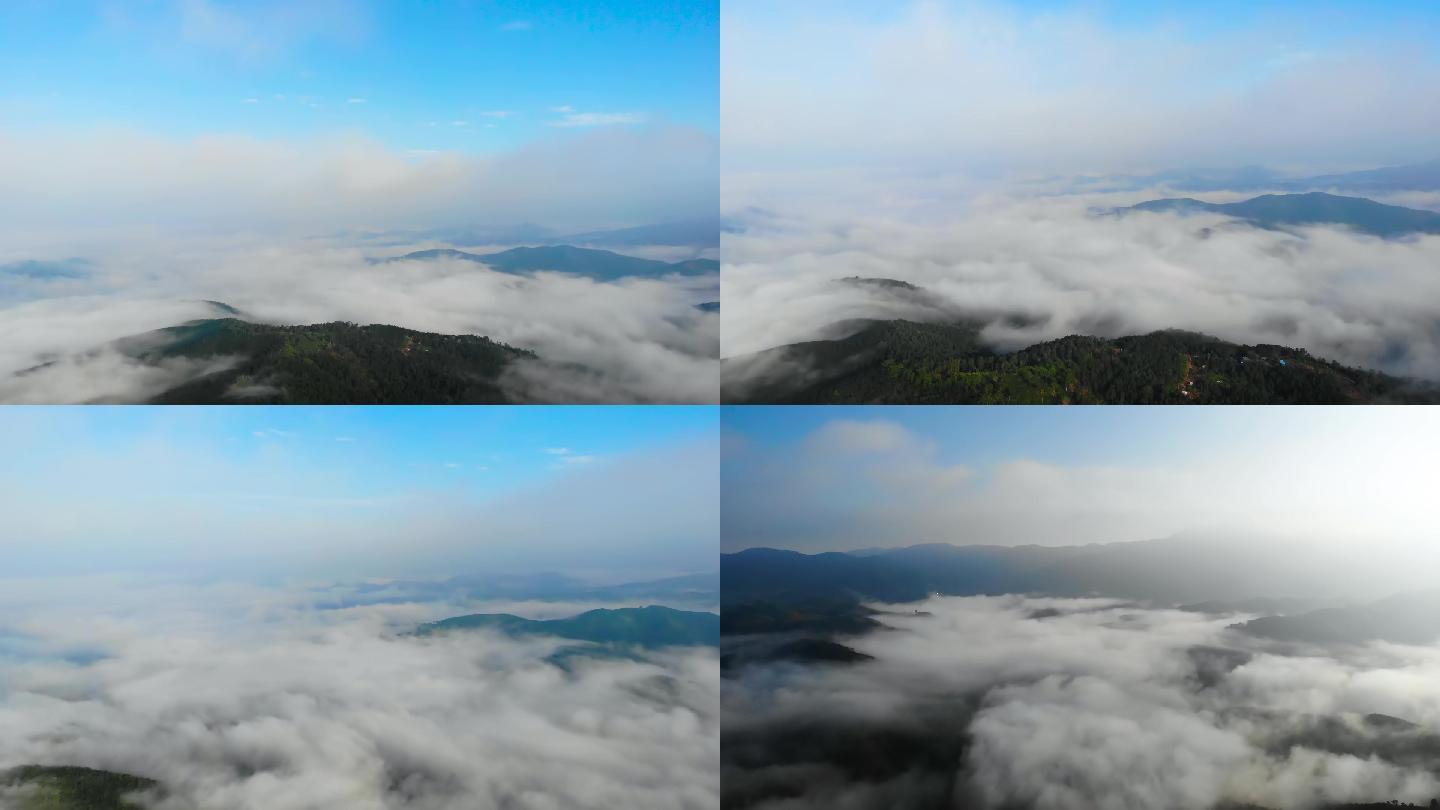 云南西双版纳原始森林云雾起伏的自然景观